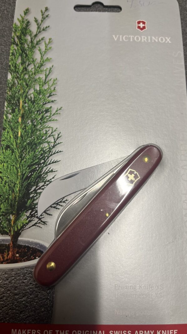 Victorinox Kacor kés