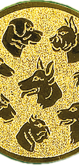 1603202567d7282beb901.jpeg